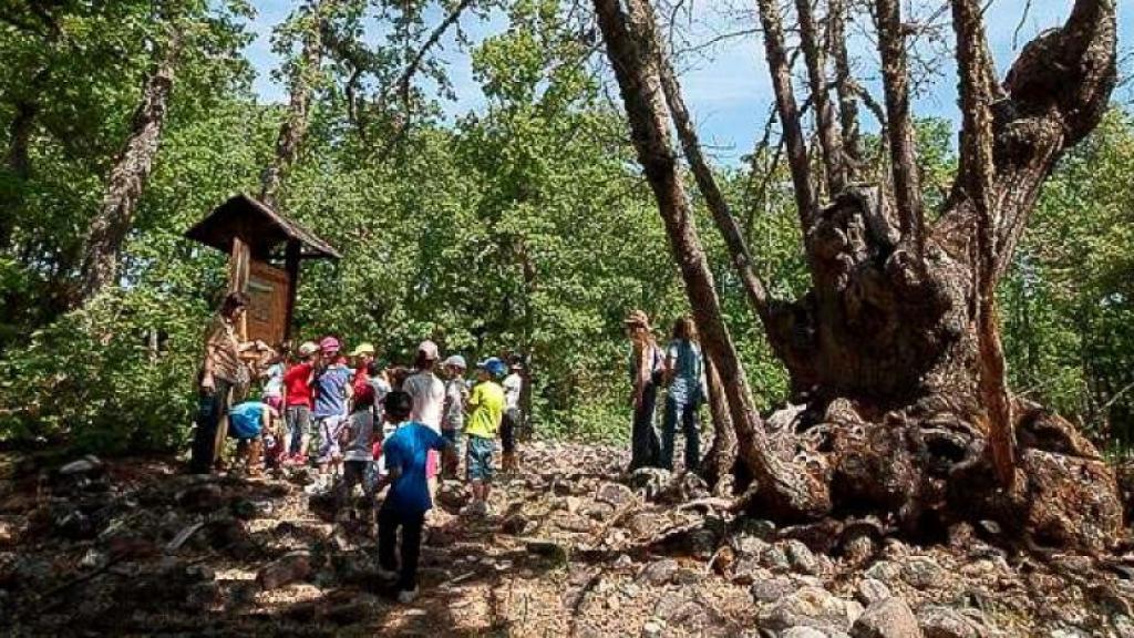 Visita al paraje de Las Cávenes en El Cabaco