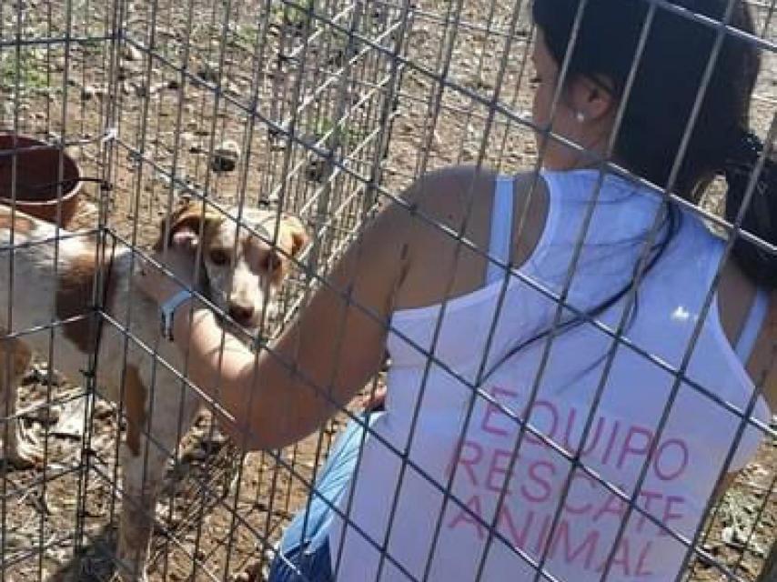 Una voluntaria de ResCat & Dog en la zona de Valencia.
