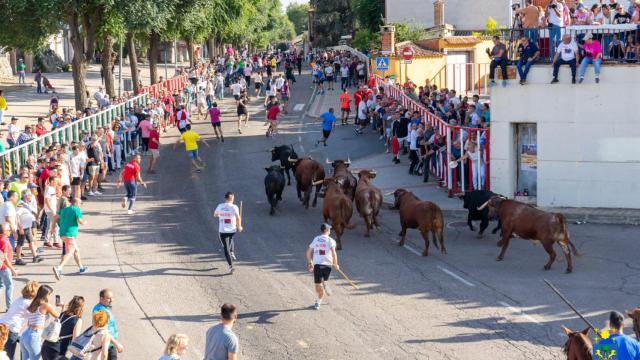 Uno de los encierros taurinos de Olmedo