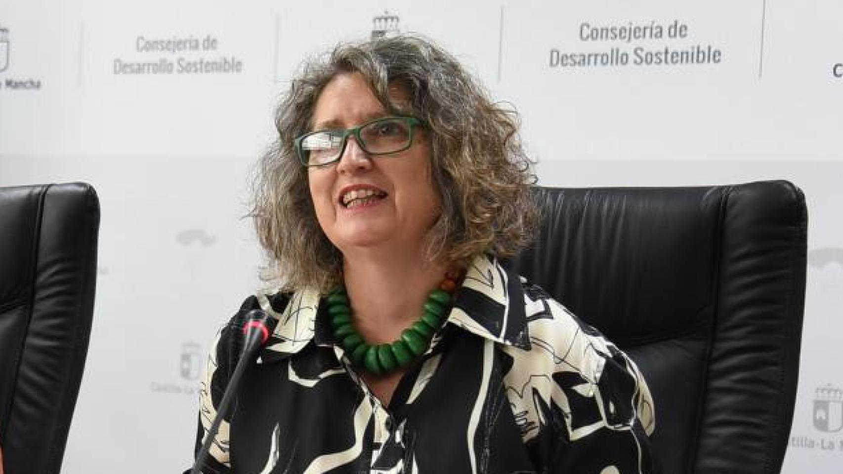 Mercedes Gómez, consejera de Desarrollo Sostenible. Foto: JCCM.