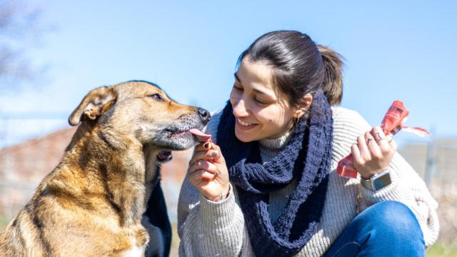 Una mujer con su perro tomando un snack.