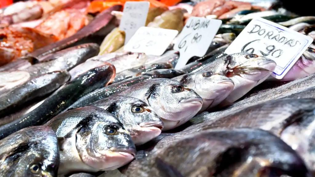 No todas las variedades de pescado son igual de recomendables ni contienen los mismos nutrientes.