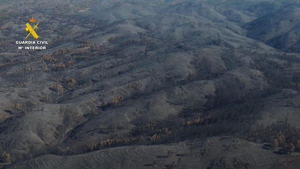 El fuego calcinó más de 3.000 hectáreas