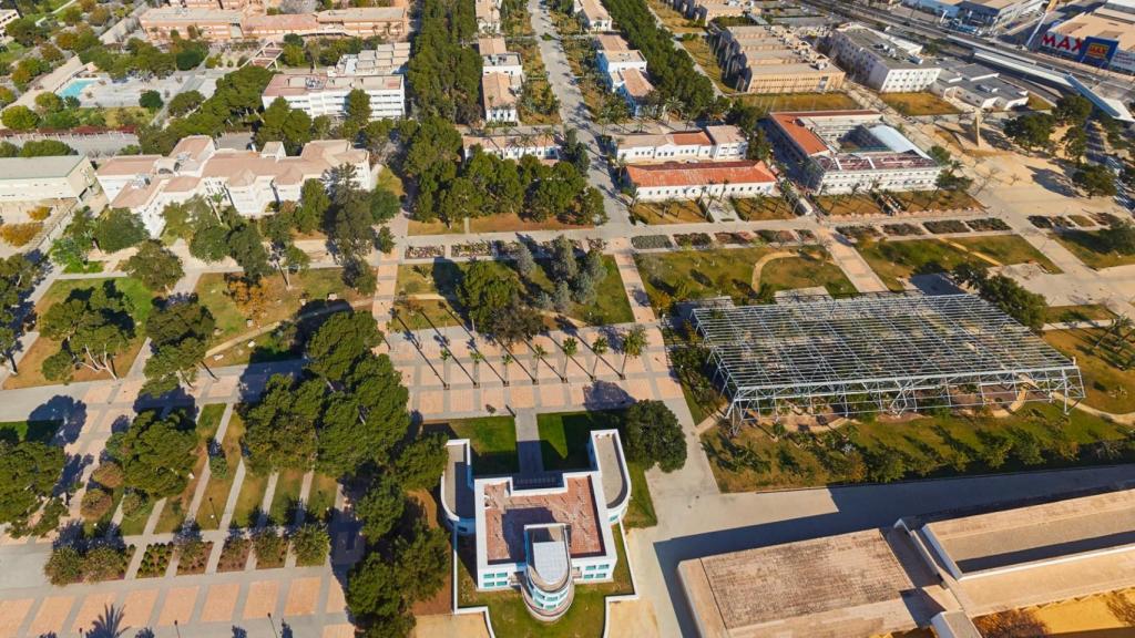 La Universidad de Alicante.
