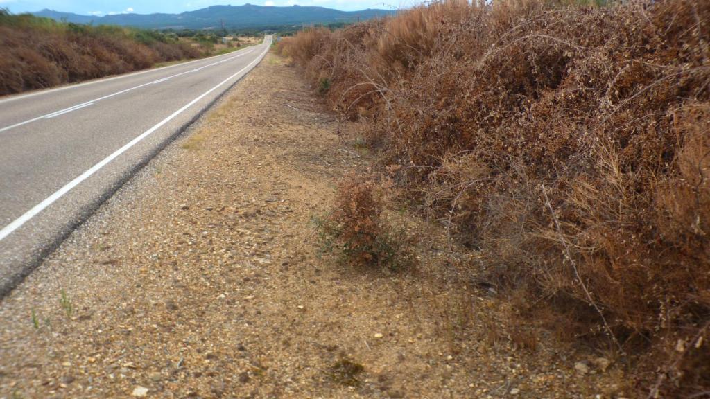 Caminos con glifosato en Aliste