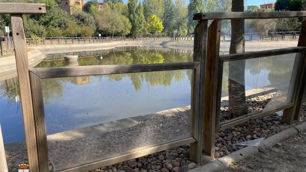 Ataques vandálicos en Benavente