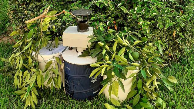 Una de las 'trampas' instaladas en un campo de Andalucía por la Junta.