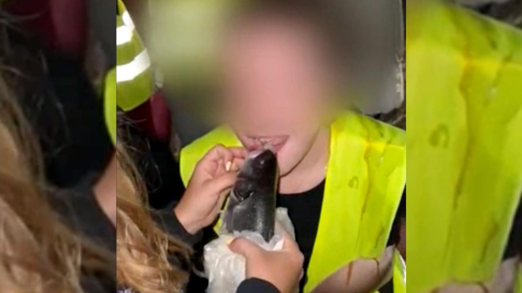 Una novata arrodillada y obligada a lamer un pescado crudo.