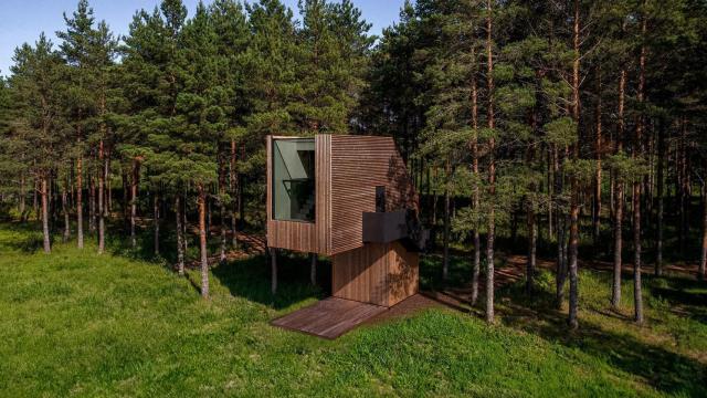 Piil, la minicasa árbol