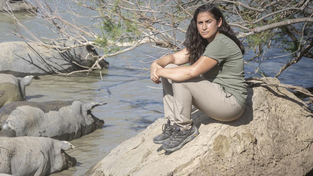 Ana, con varios ejemplares de sus cerdos 100% ibéricos, mientras se bañan en la charca de la finca.