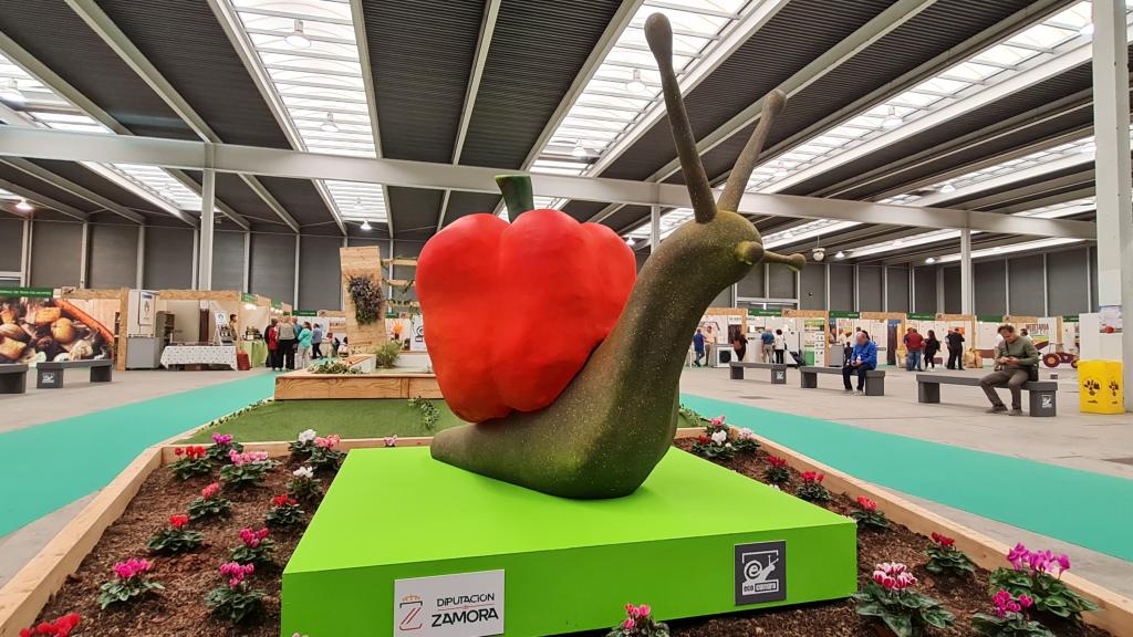 XIX Feria Hispanolusa de Productos Ecológicos Ecocultura celebrada en Zamora