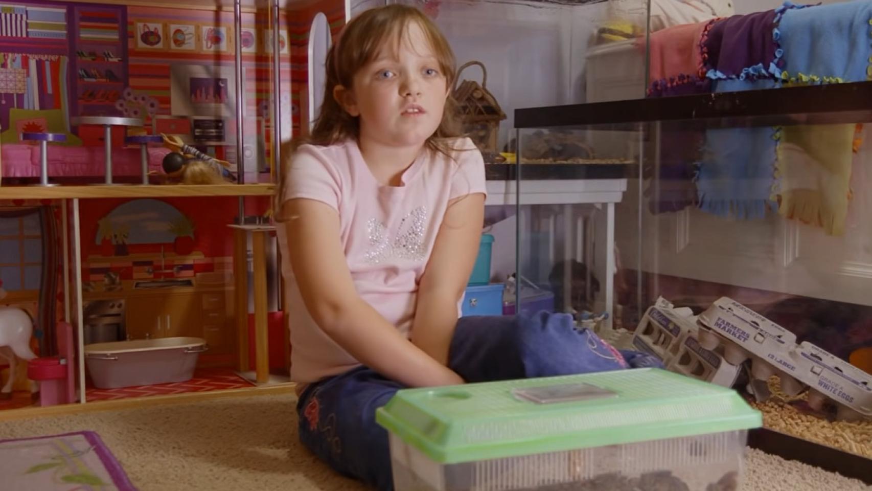 Una niña colecciona más de 4.000 cucarachas vivas en su casa.