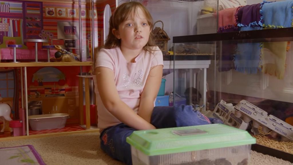 Una niña colecciona más de 4.000 cucarachas vivas en su casa.