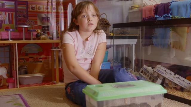 Una niña colecciona más de 4.000 cucarachas vivas en su casa.