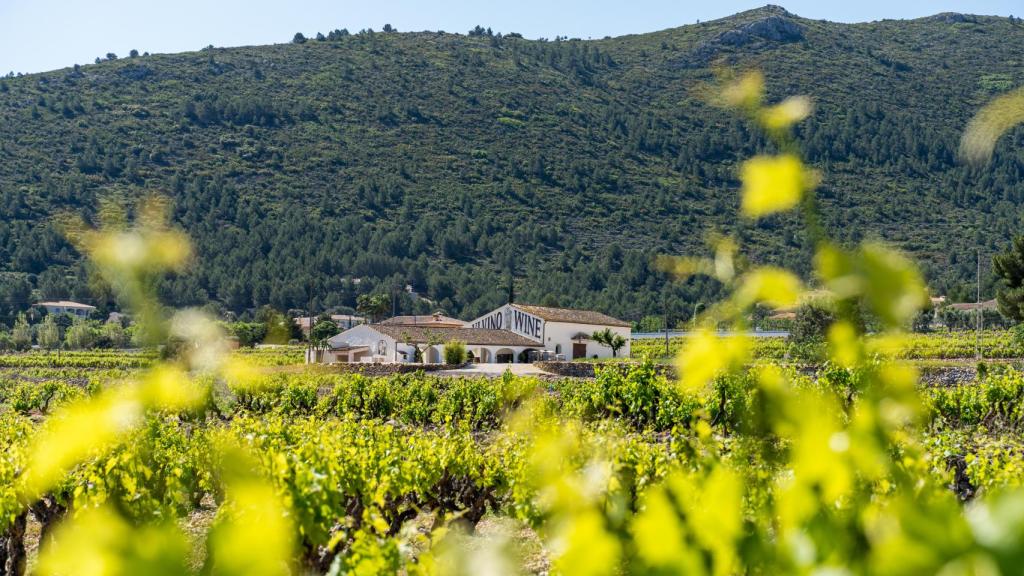 Bodega Pepe Mendonza en Alicante.