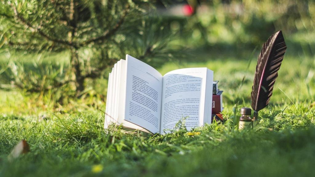 Las Villas del Libro son un selecto club de municipios.