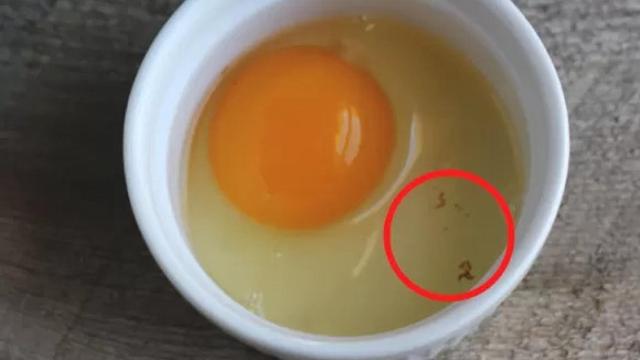 Manchas marrones en los huevos.