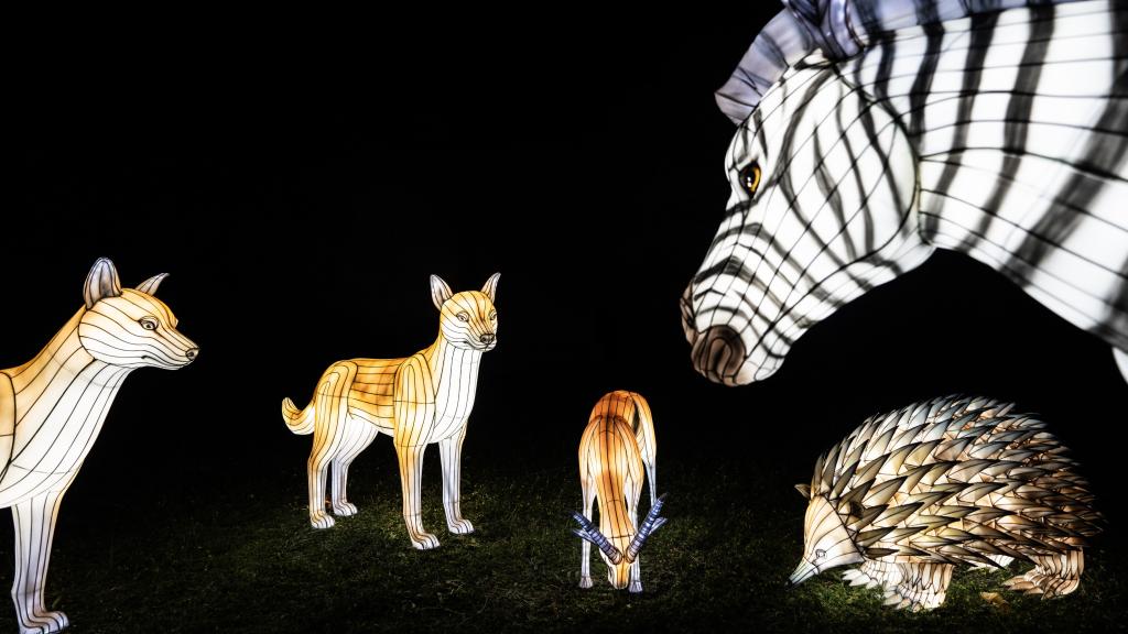 Figuras lumionsas de animales.