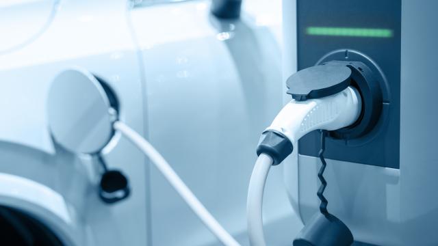 Clece refuerza su compromiso con el medio ambiente: así reduce su huella de carbono