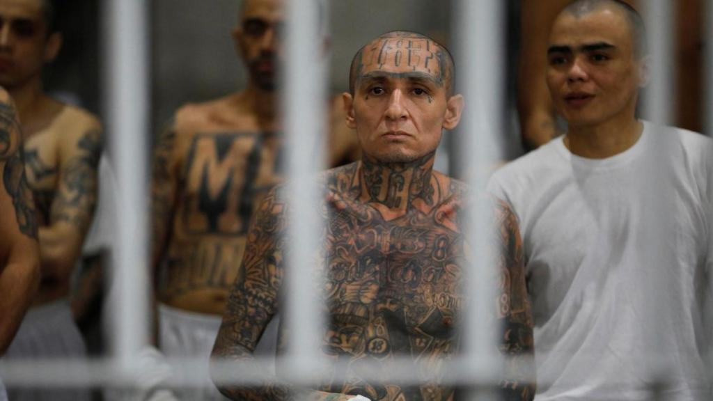 Imagen de varios presos en el Centro de Confinamiento del Terrorismo de El Salvador.