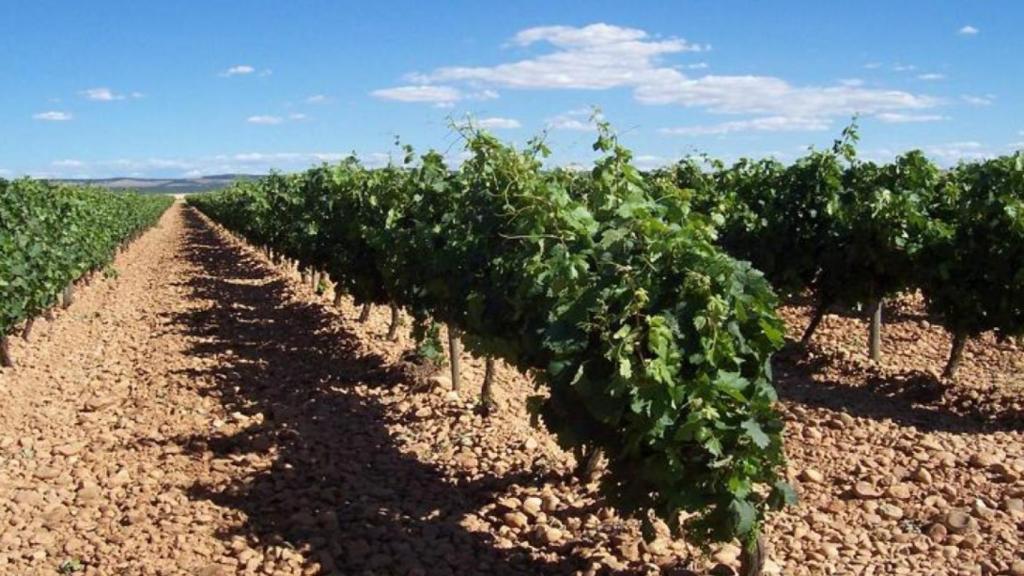 Los desconcidos vinos de la D.O. Valtiendas y el restaurante preferido donde disfrutarlos