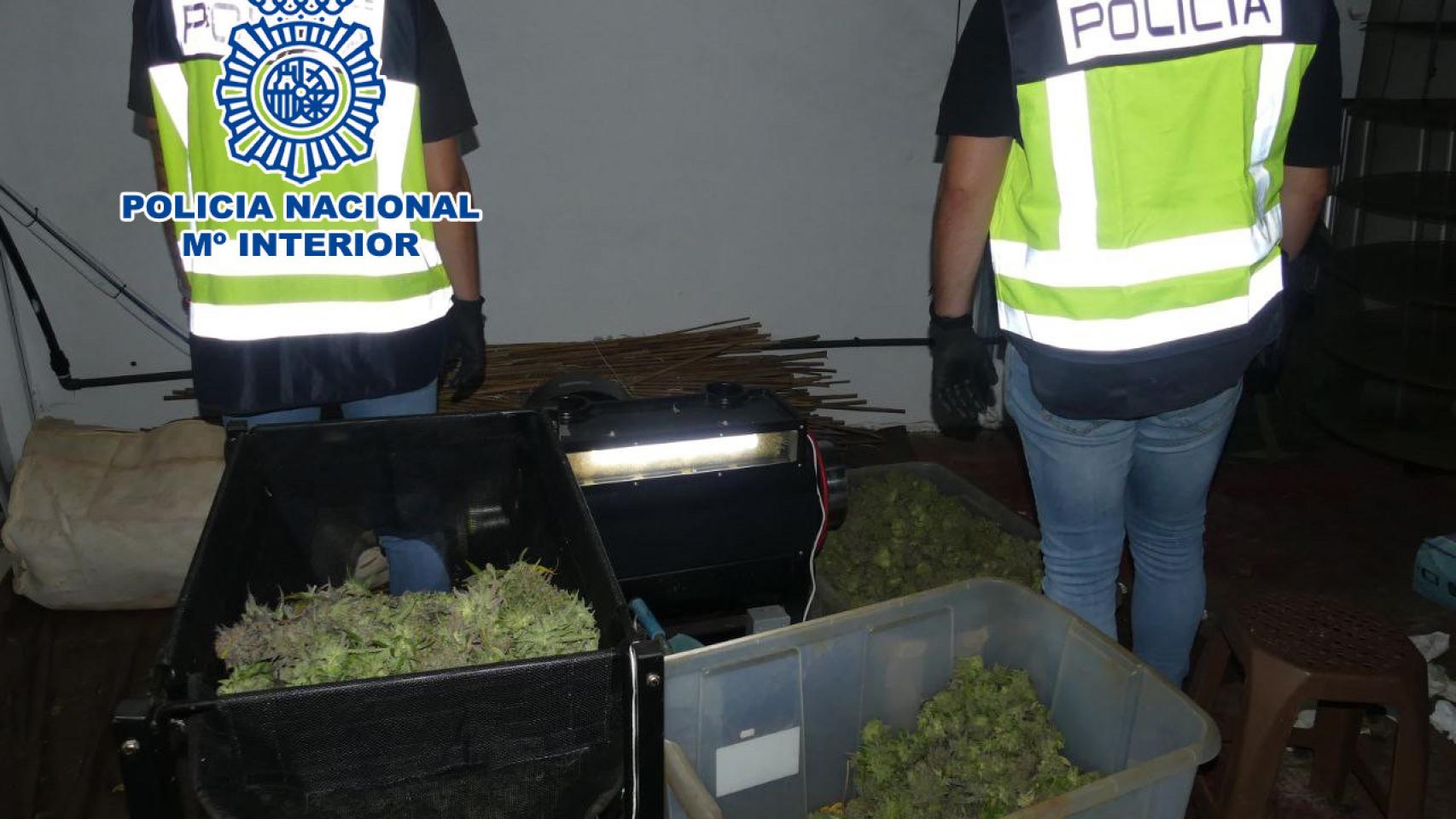 Sustancias incautadas por la Policía Nacional en otra operación similar.
