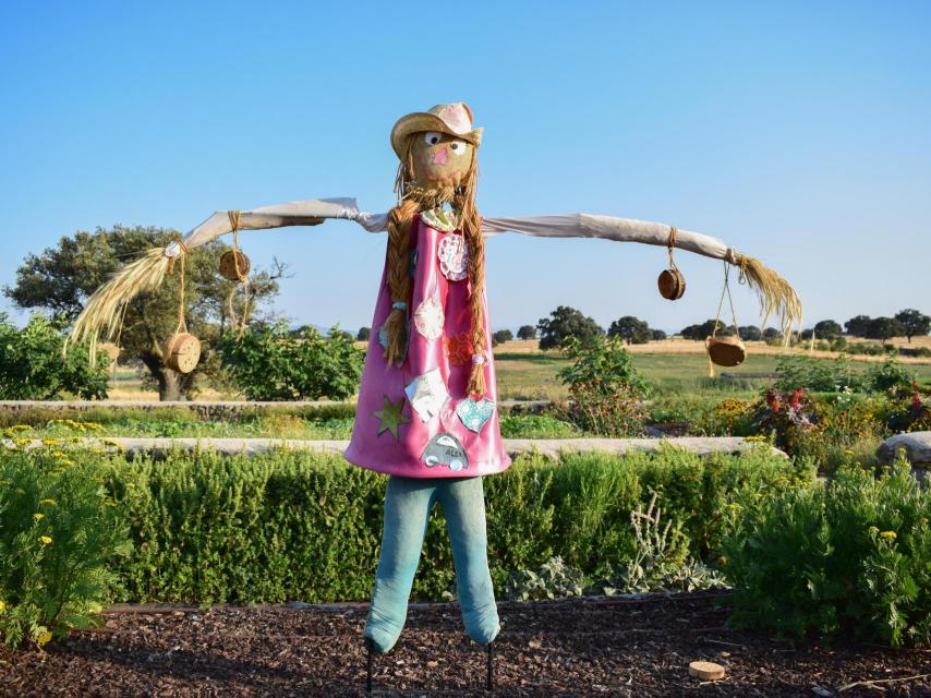 Zona de huerta  de El Milagro.