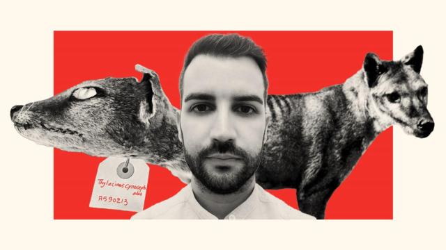 El bioinformático español que se mudó a Suecia para rescatar de la extinción al lobo de Tasmania