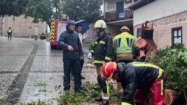 Caída de árboles en Toledo capital.