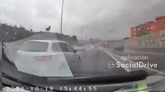 Temeridad en Guadalajara: casi provoca un accidente por sus frenazos y cambios de carril
