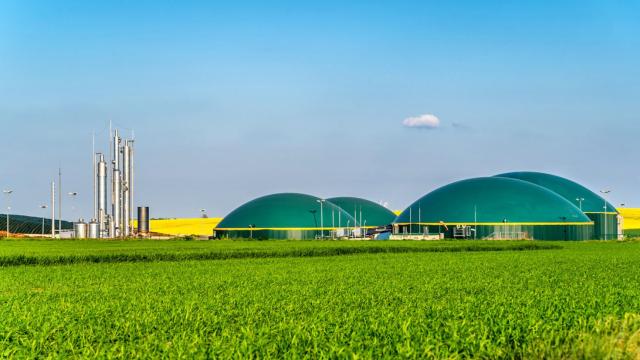 El biogás, una solución limpia y eficiente frente al incremento de los residuos orgánicos (iStock)
