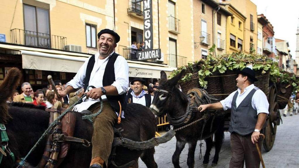 Fiesta de la vendimia en Toro