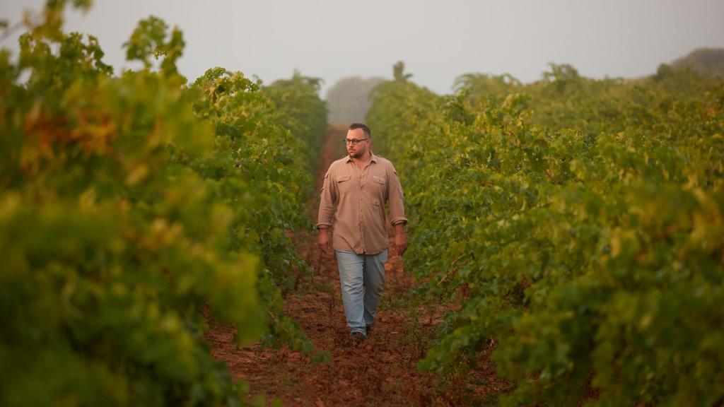 Pepe Rodríguez de Vera en viñedo de Dominio de Casalta