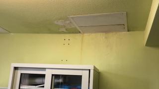 Bolsas de agua en el falso techo