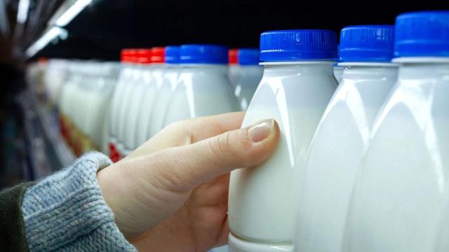 Unas botellas de leche del supermercado.