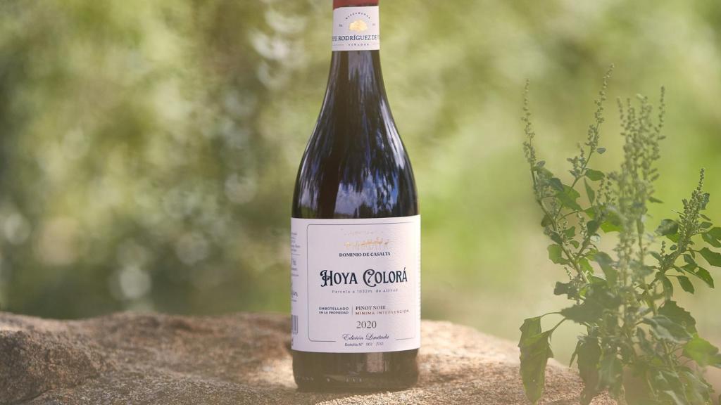 Hoya Colorá Pinot Noir, de Dominio de Casalta