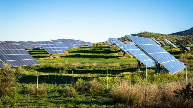 Biodiversidad, energías renovables y cambio climático, una mirada integral (iStock)