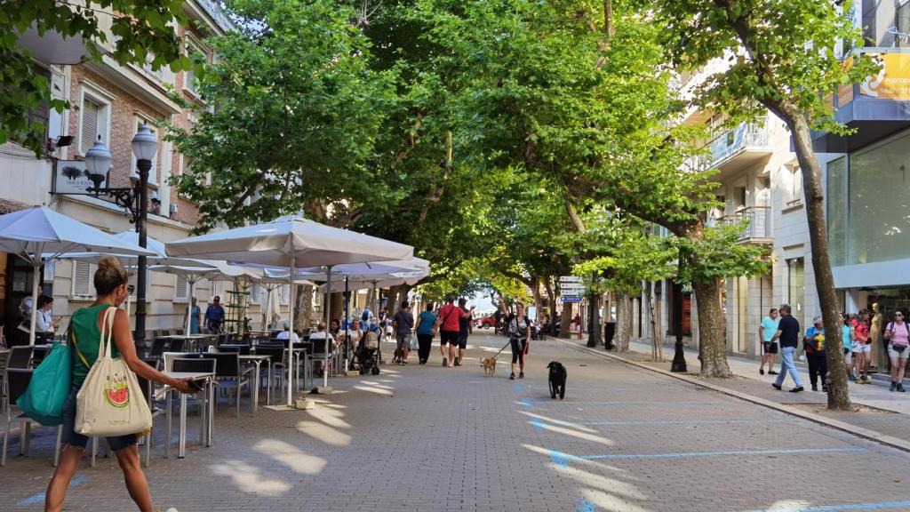 El paseo de la calle marqués de Campo de Dénia.