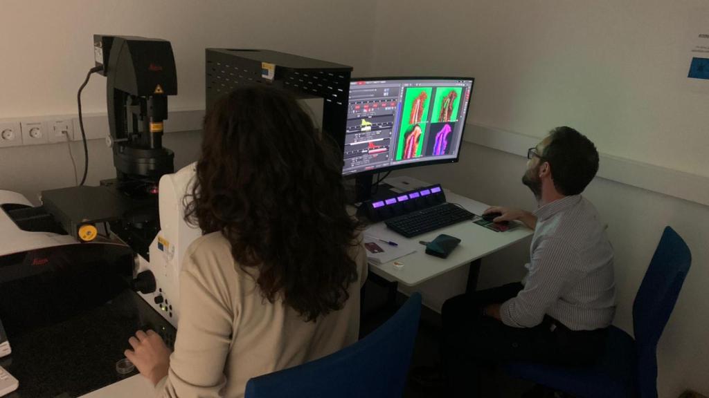 La colaboración entre investigadores es esencial para obtener mejores resultados