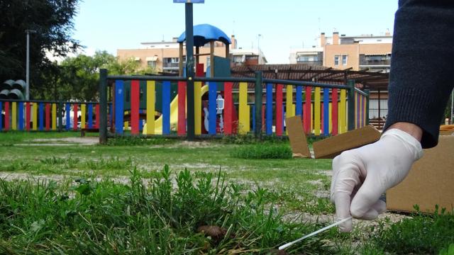 Toma de muestra de ADN canino.