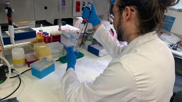 Uno de los científicos del Incyl en uno de los laboratorios de este instituto ubicado en Salamanca