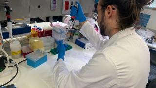 Uno de los científicos del Incyl en uno de los laboratorios de este instituto ubicado en Salamanca