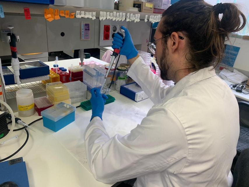 Uno de los científicos del Incyl en uno de los laboratorios de este instituto ubicado en Salamanca