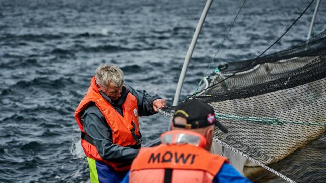 ¿Cómo influye el cambio climático en la gastronomía? (Cedida)