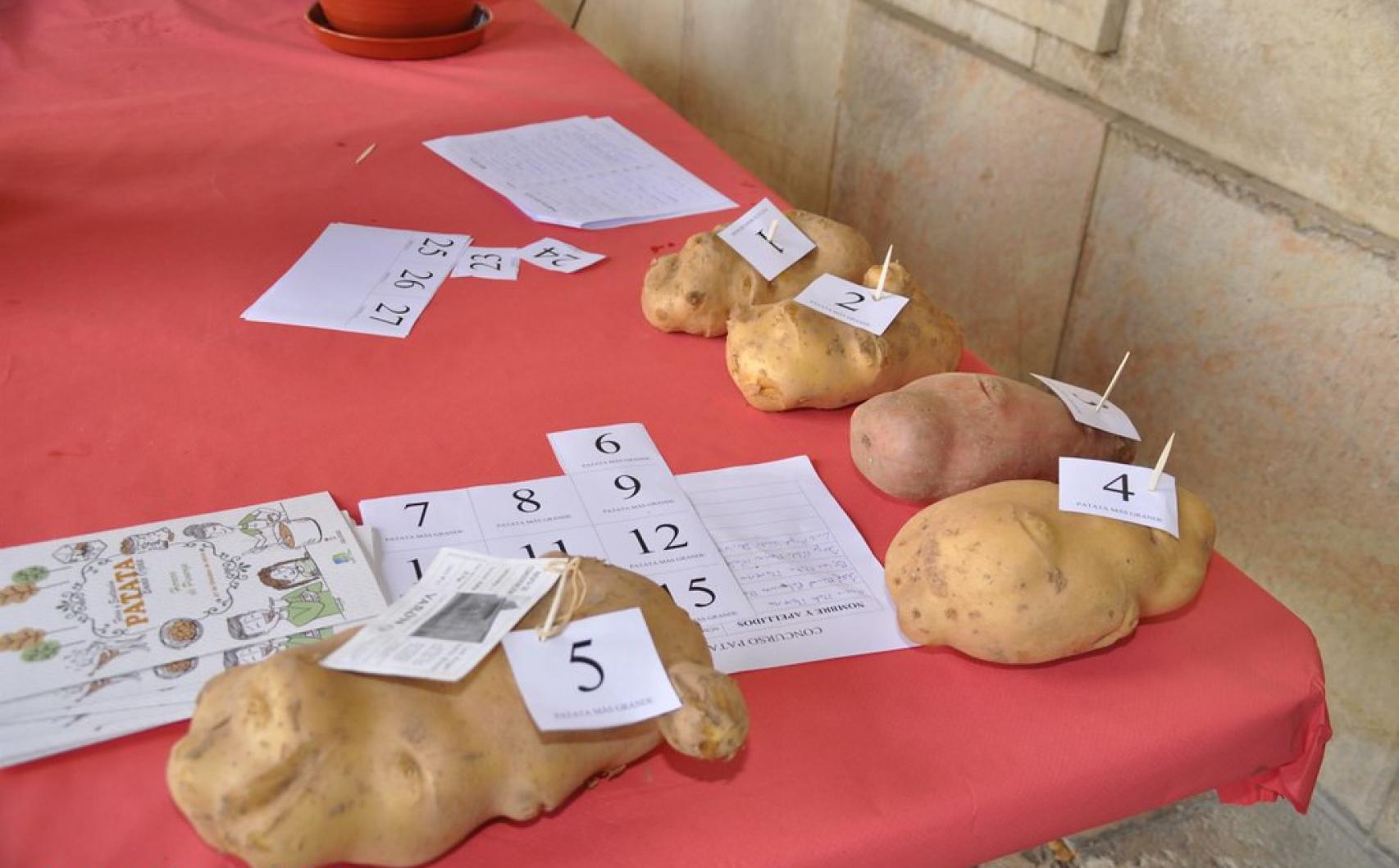 Algunas de las patatas que se pueden encontrar en los expositores