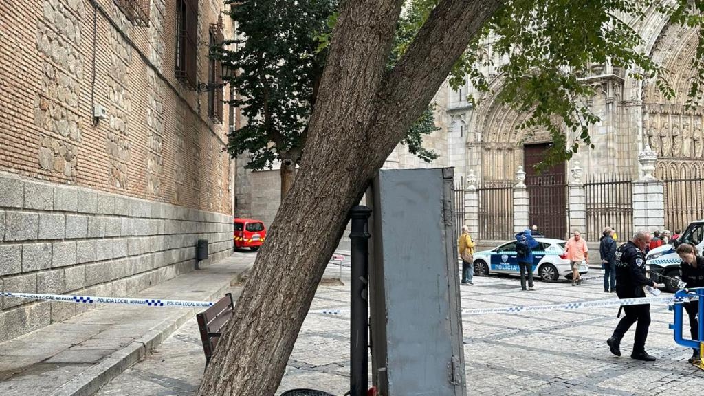 El tronco del árbol descansa sobre una estructura metálica.
