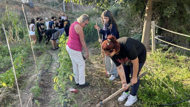 El programa tiene ocho talleres que incluye áreas como tecnología, cultura, costura y agricultura.