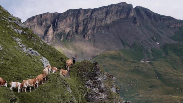 Fotografía de rodaje de 'Alpenland' .