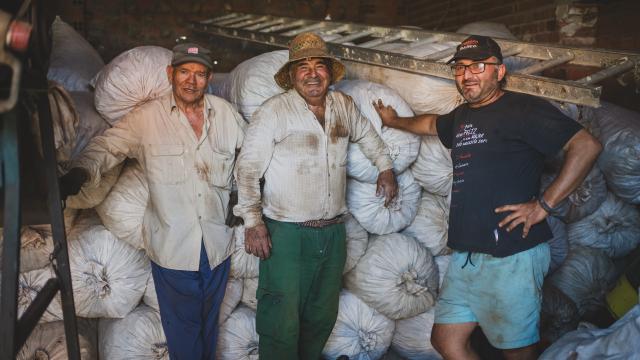 En la mancomunidad de La Vera se produce el mejor pimentón, una Denominación de Origen reclamada por los mejores restaurantes del mundo.