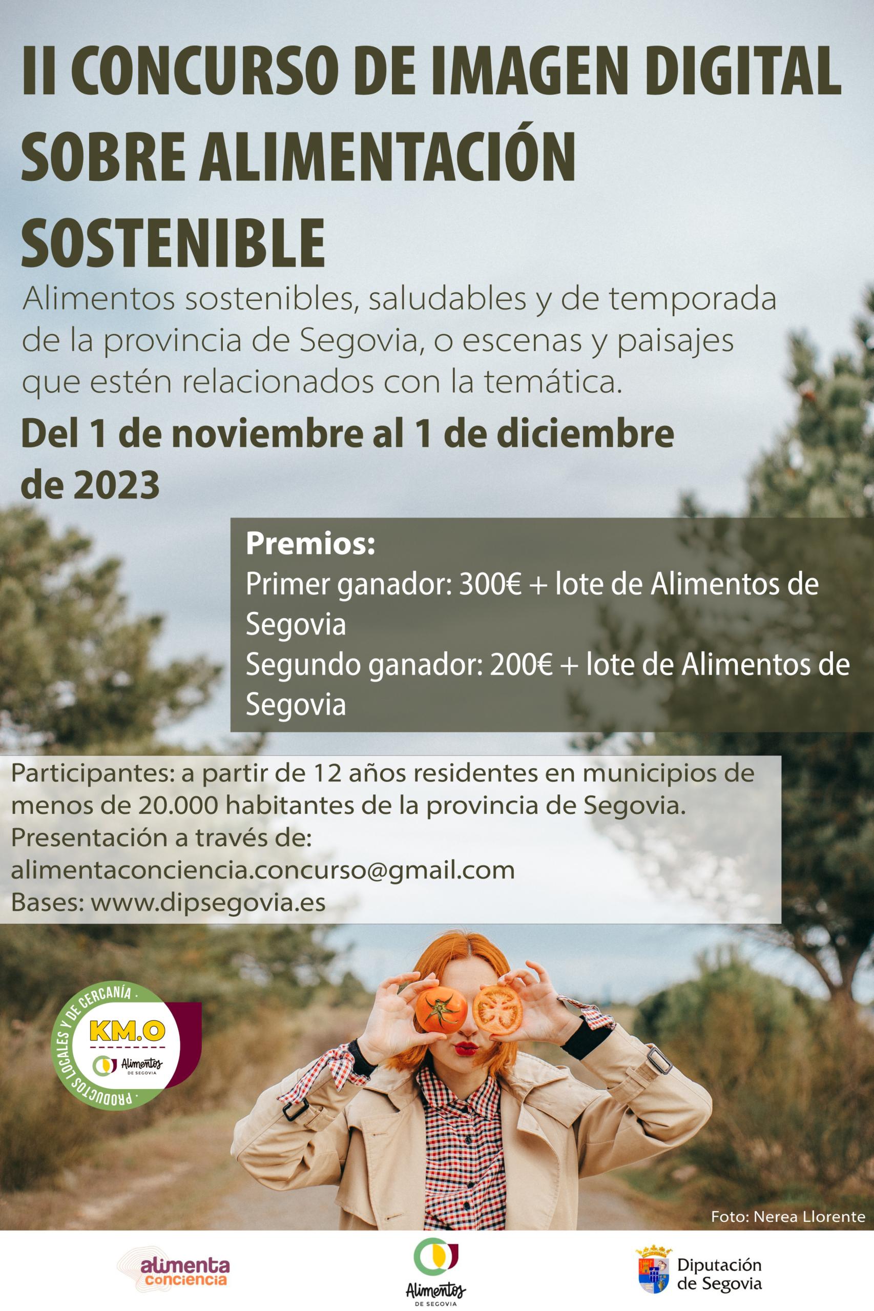 El cartel con los requisitos para participar en el concurso de la Diputación de Segovia